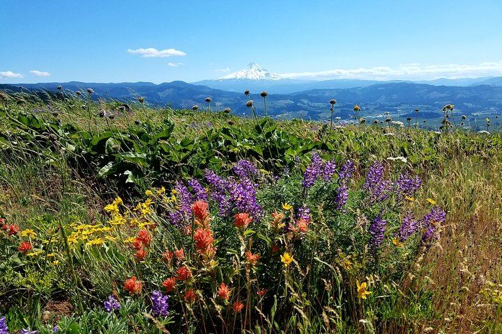 Full-Day Gorge Waterfalls, Hood River and Mt. Hood Loop with Local Guide (10/12)