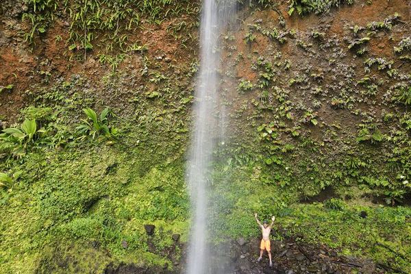 Two-Hour Wild Plant and Wildlife Hike to Middleham Falls with a Local Forager