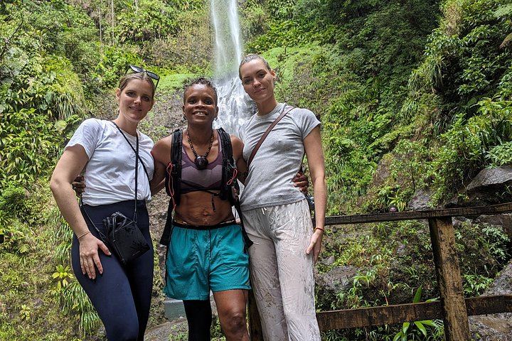 Two-Hour Wild Plant and Wildlife Hike to Middleham Falls with a Local Forager (10/12)
