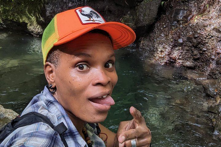 Two-Hour Wild Plant and Wildlife Hike to Middleham Falls with a Local Forager (8/12)