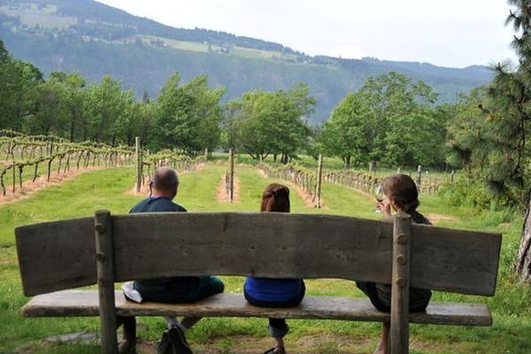 Columbia Gorge Waterfalls and Hood River Wine Tasting Afternoon Tour, Portland