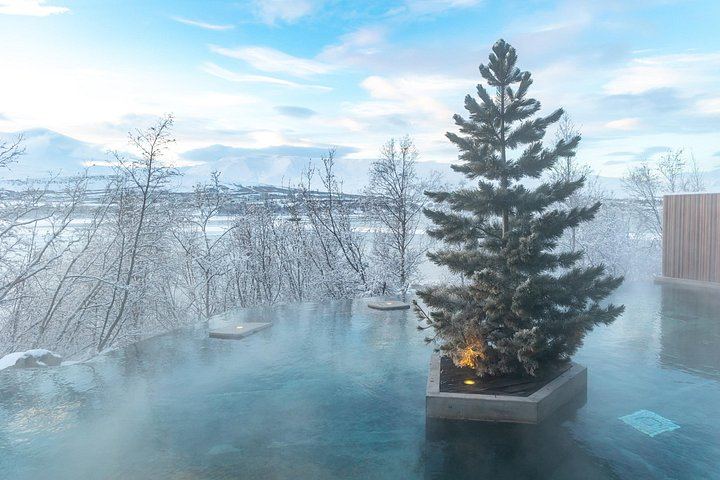 Winter Combo from Akureyri: Godafoss, Christmas House and Forest Lagoon Soak (6/11)