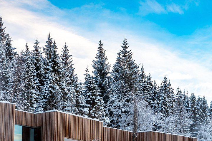 Winter Combo from Akureyri: Godafoss, Christmas House and Forest Lagoon Soak (3/11)