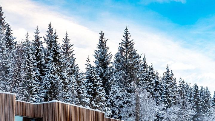 Winter Combo from Akureyri: Godafoss, Christmas House and Forest Lagoon Soak (3/11)