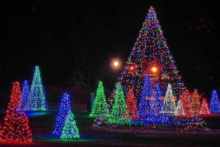 Toronto Winter Festival of Lights Bus Tour to Niagara Falls with Floral Clock and Chapel (10/12)