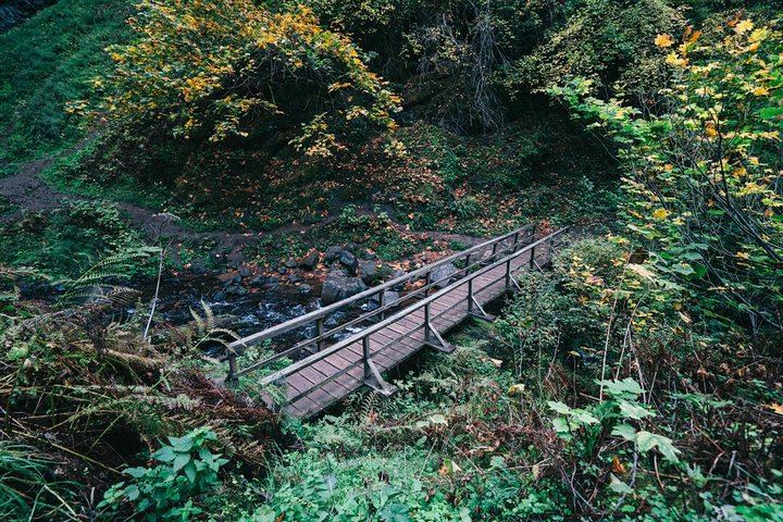 Half-Day Historic Highway Waterfalls Tour: Multnomah, Latourell, Horsetail (7/12)