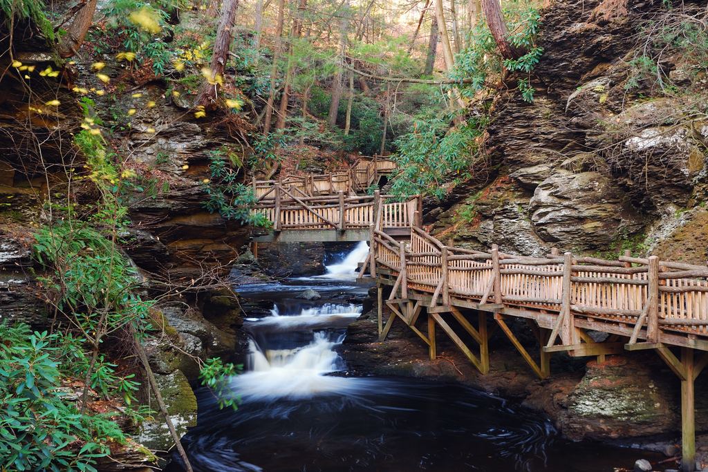 A wooden walkway and footbridges above a small waterfall in a wooded gorge
