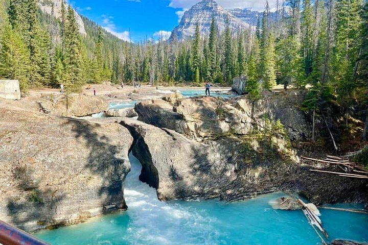 Lake Louise, Emerald Lake and Takakkaw Falls: Banff, Yoho and Kootenay Day Tour (12/12)