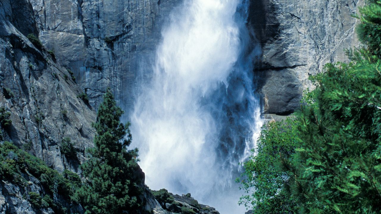 Yosemite Falls dropping down a gray granite cliff above pine trees in Yosemite National Park