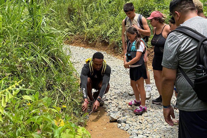 El Yunque River Pools, Rope Swings and Rock Slide with Fruit, Pickup and Luquillo Stop (6/10)