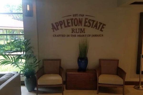 Private Appleton Estate Rum Tasting and YS Falls Day Tour from Montego Bay