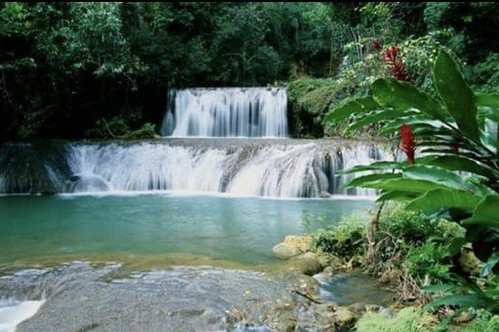 Private Appleton Estate Rum Tasting and YS Falls Day Tour from Montego Bay (5/8)