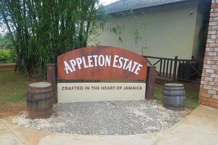 Private Appleton Estate Rum Tasting and YS Falls Day Tour from Montego Bay (2/8)