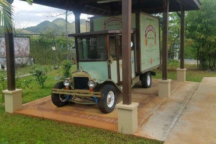 Private Appleton Estate Rum Tasting and YS Falls Day Tour from Montego Bay (3/8)