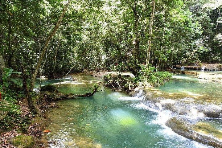 Private Appleton Estate Rum Tasting and YS Falls Day Tour from Montego Bay (8/8)
