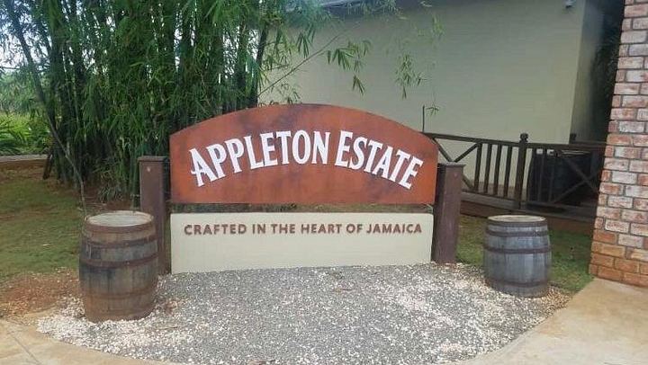 Private Appleton Estate Rum Tasting and YS Falls Day Tour from Montego Bay (2/8)