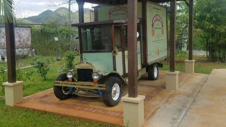 Private Appleton Estate Rum Tasting and YS Falls Day Tour from Montego Bay (3/8)