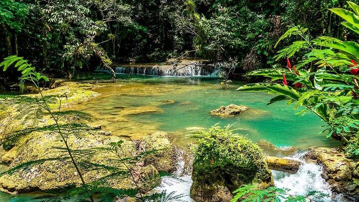Private YS Falls and Black River Pontoon Safari Day Trip from Negril, Optional Zipline (2/9)