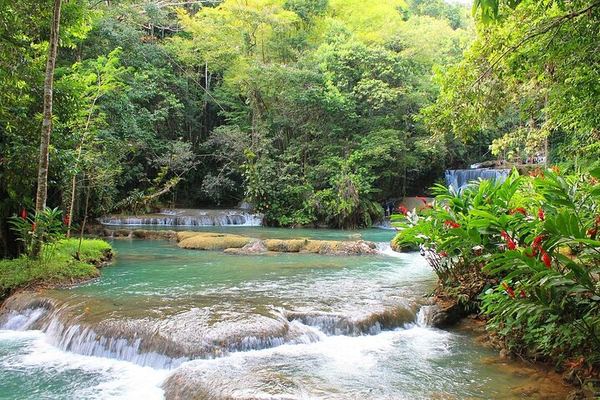 Private YS Falls and Black River Pontoon Safari Day Trip from Negril, Optional Zipline