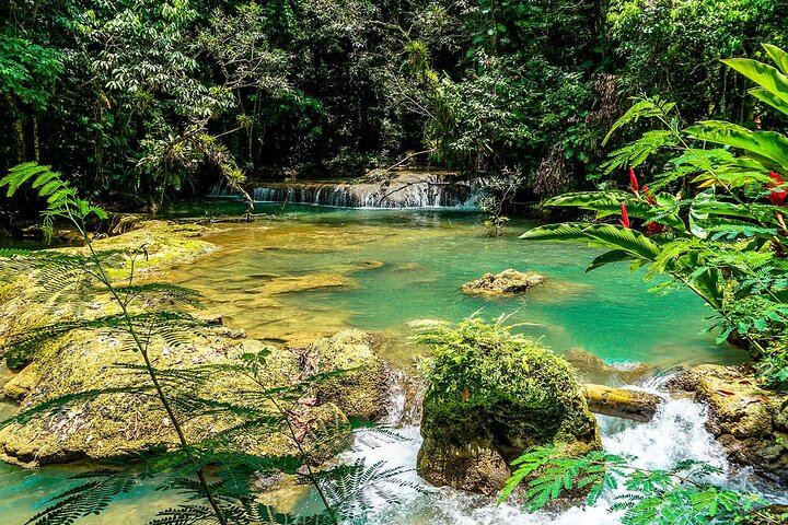 Private YS Falls and Black River Pontoon Safari Day Trip from Negril, Optional Zipline (2/9)