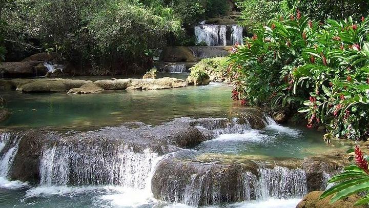 YS Falls Swim and Floyd's Pelican Bar Boat Ride from Negril by Private Vehicle (2/5)