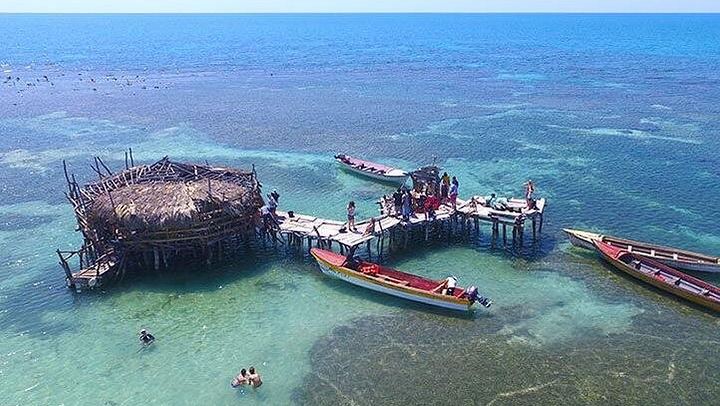 YS Falls Swim and Floyd's Pelican Bar Boat Ride from Negril by Private Vehicle (4/5)