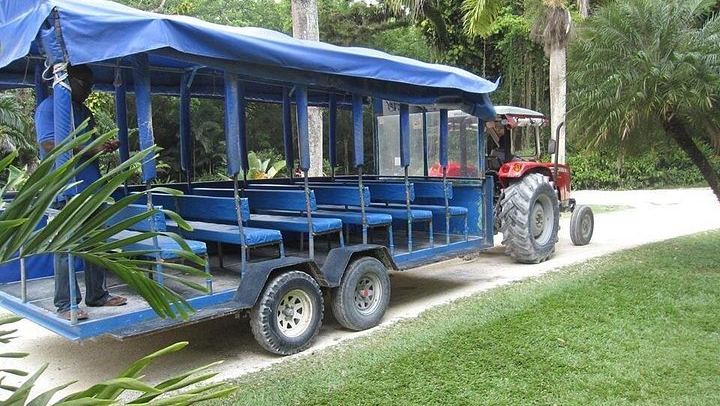 YS Falls Swim and Floyd's Pelican Bar Boat Ride from Negril by Private Vehicle (1/5)