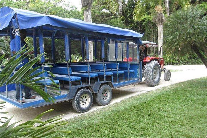 YS Falls Swim and Floyd's Pelican Bar Boat Ride from Negril by Private Vehicle (1/5)