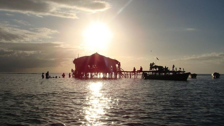 YS Falls, Black River Safari and Floyd's Pelican Bar Day Trip, Driver and Transport Only (1/5)