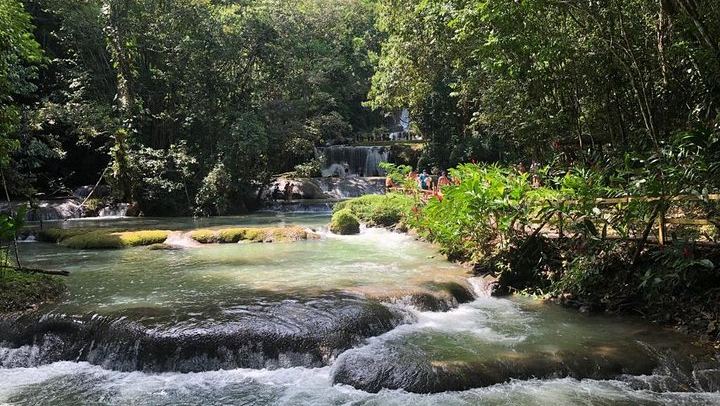 YS Falls, Black River Safari and Floyd's Pelican Bar Day Trip, Driver and Transport Only (3/5)