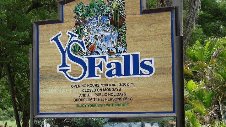 YS Falls, Black River Safari and Floyd's Pelican Bar Day Trip, Driver and Transport Only (2/5)
