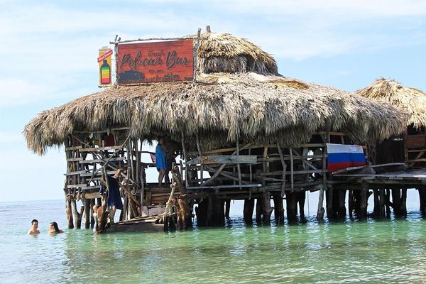 YS Falls, Black River Safari and Floyd's Pelican Bar Day Trip, Driver and Transport Only