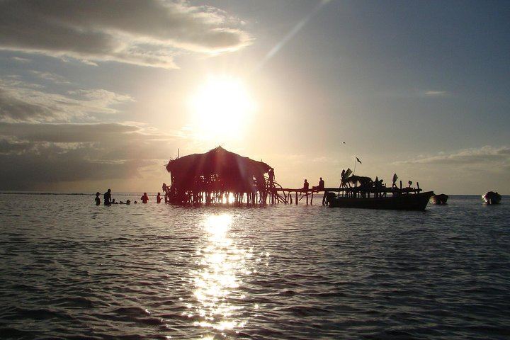YS Falls, Black River Safari and Floyd's Pelican Bar Day Trip, Driver and Transport Only (1/5)