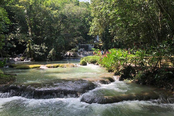 YS Falls, Black River Safari and Floyd's Pelican Bar Day Trip, Driver and Transport Only (3/5)