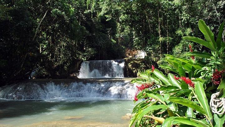 Private South Coast Tour: Pick Any 3 of YS Falls, Black River, Appleton or Pelican Bar (3/12)