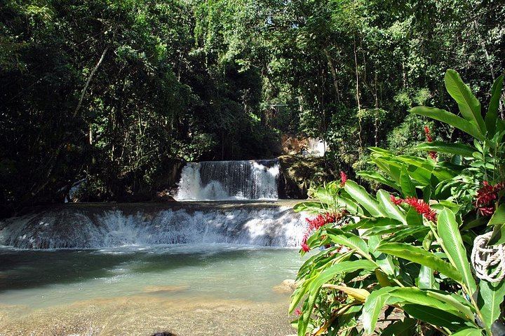 Private South Coast Tour: Pick Any 3 of YS Falls, Black River, Appleton or Pelican Bar (3/12)