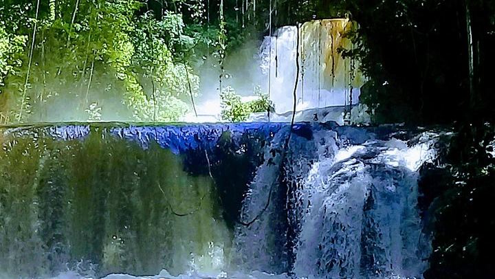 Private YS Falls and Pelican Bar Trip from Negril with Marlon's Tour (4/9)