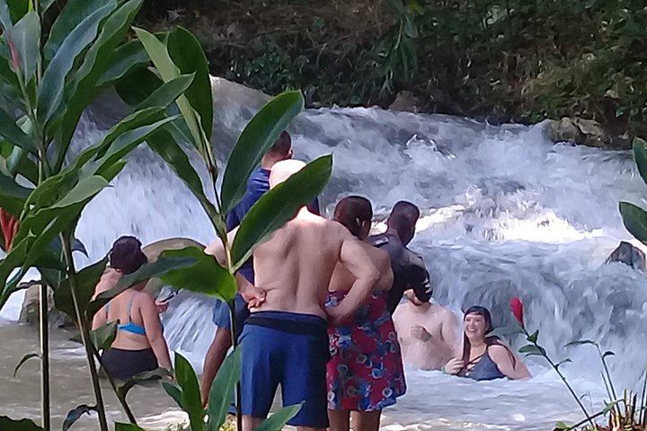 Private YS Falls and Pelican Bar Trip from Negril with Marlon's Tour (3/9)