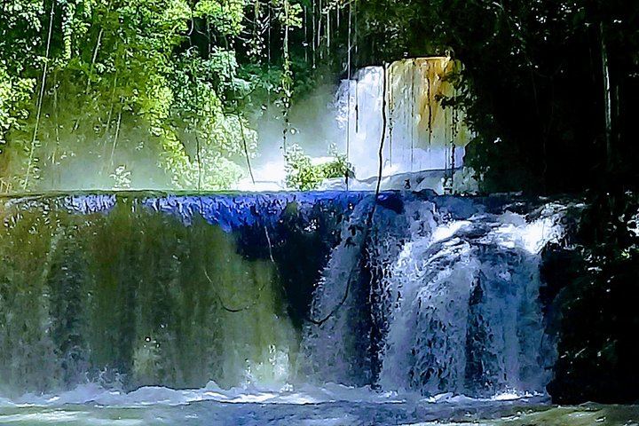 Private YS Falls and Pelican Bar Trip from Negril with Marlon's Tour (4/9)