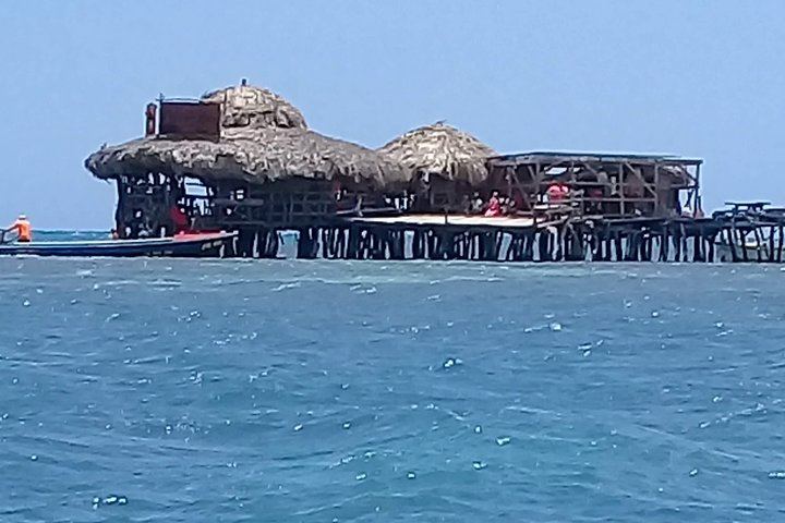 Private YS Falls and Pelican Bar Trip from Negril with Marlon's Tour (6/9)