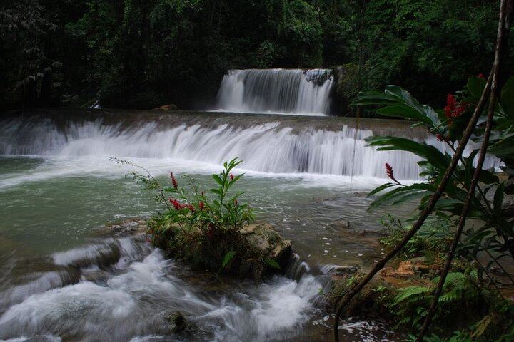 Appleton Estate Rum, Black River Safari and YS Falls from Montego Bay or Negril (5/12)
