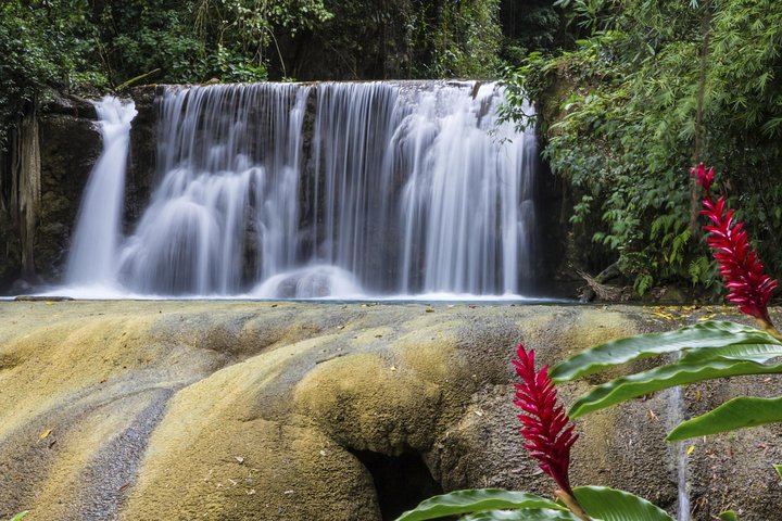 Private Appleton Rum, YS Falls and Black River Safari Day Tour from Montego Bay (7/8)