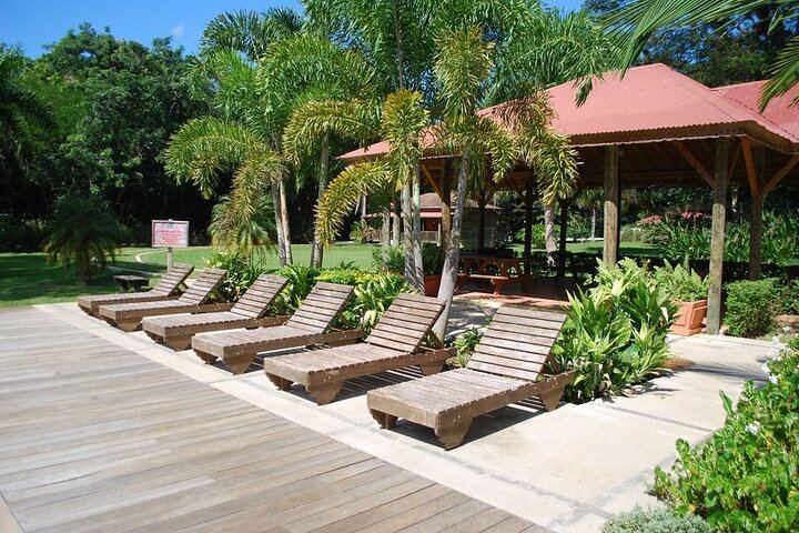 Appleton Estate Rum, Black River Safari and YS Falls from Montego Bay or Negril (7/12)