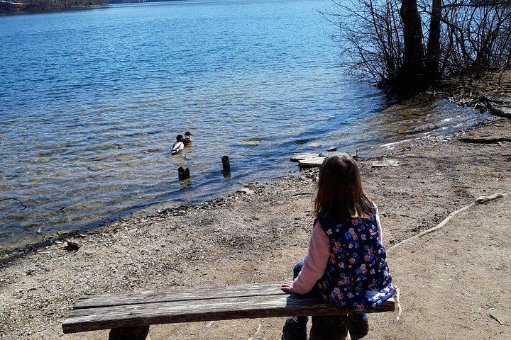 Plitvice Lakes from Zadar with Pre-Booked Gate 1 Tickets, Boat, Train and Free Time (7/12)