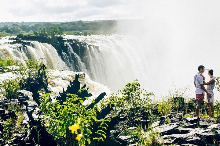 Victoria Falls Guided Day Tour of Zimbabwe and Zambia Sides with Market Stop (3/12)