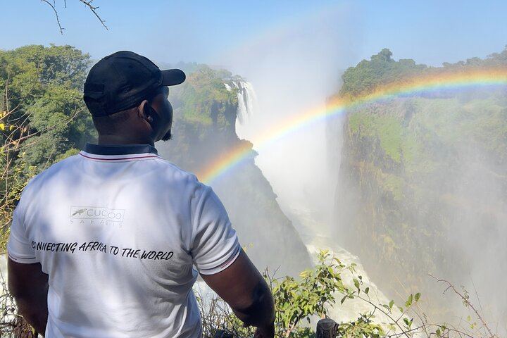 Victoria Falls Guided Day Tour of Zimbabwe and Zambia Sides with Market Stop (5/12)