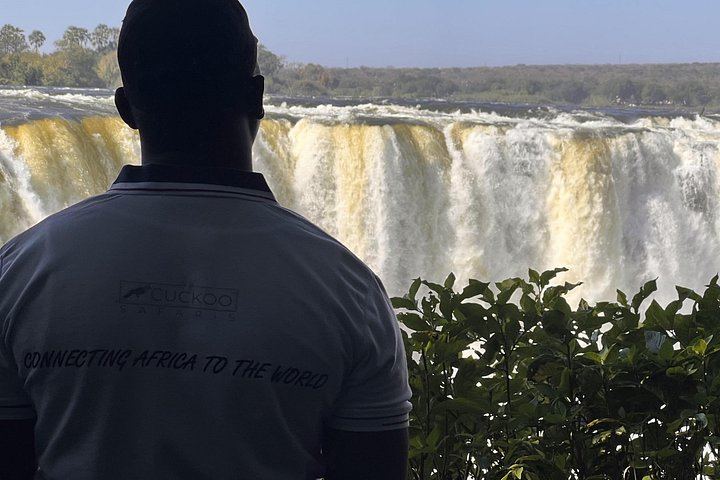 Victoria Falls Guided Day Tour of Zimbabwe and Zambia Sides with Market Stop (7/12)