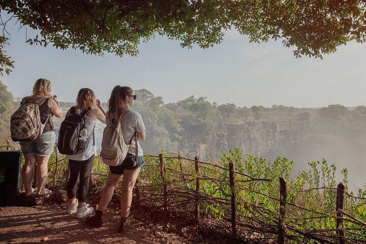 Half-Day Private Victoria Falls Tour Through Zimbabwe and Zambia with Guide (2/8)