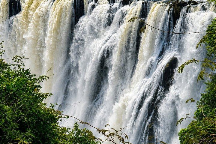 Half-Day Private Victoria Falls Tour Through Zimbabwe and Zambia with Guide (8/8)